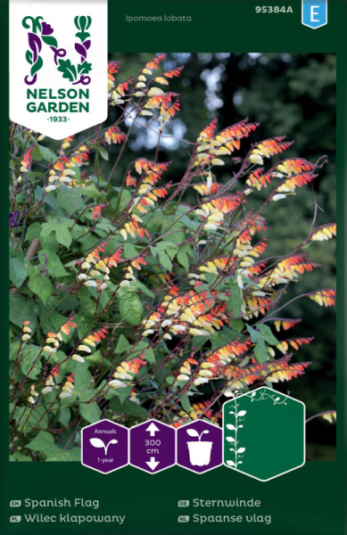 Produktbild von Nelson Garden Sternwinde Verpackung mit Bild der blühenden Pflanze und Informationen über die Pflanzenart sowie Wuchshöhe in verschiedenen Sprachen.