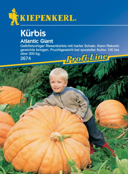 Produktbild von Kiepenkerl Kürbis Atlantic Giant mit einem lächelnden Kind, das sich an einem großen Kürbis anlehnt, umgeben von Grünfläche im Hintergrund.