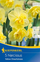 Kiepenkerl Poetaz Narzisse Yellow Cheerfulness