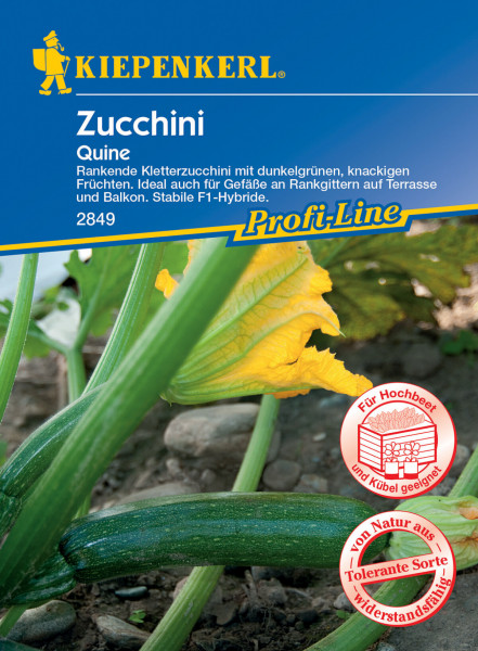 Produktbild von Kiepenkerl Zucchini Quine F1 mit Abbildung der dunkelgrünen Zucchini-Pflanze, gelben Blüten sowie Informationen zur Eignung für Hochbeet und Kübel und Hinweis auf die widerstandsfähige Sorte.