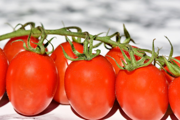 tomatoes-3480643_1920