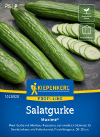 Kiepenkerl Salatgurke Maximé® F1