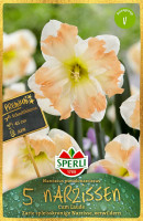 Sperli Premium Spleißkronige Narzisse Cum Laude