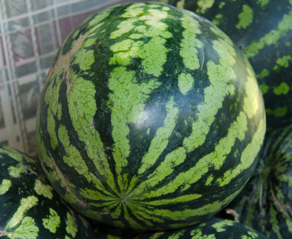 watermelon-453214_1280