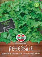 Sperli Petersilie Einfache Schnitt 3