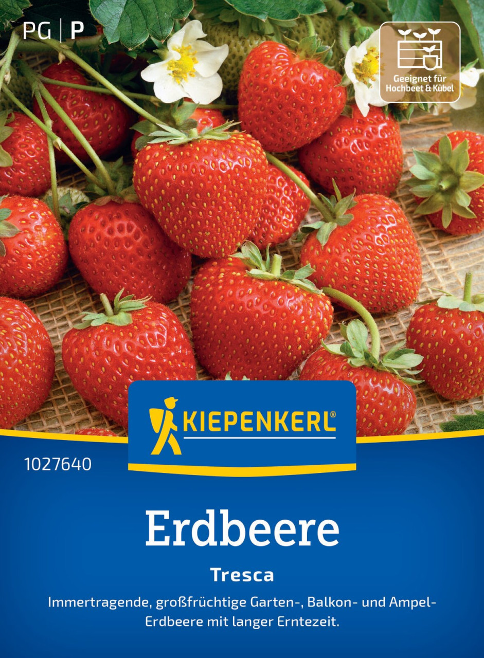 Kiepenkerl Erdbeere Tresca