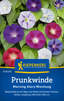 Kiepenkerl Prunkwinde Morning Glory Mischung