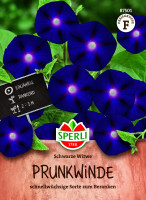 SPERLI Prunkwinden Schwarze Witwe