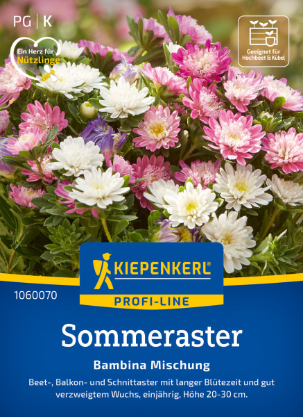 Kiepenkerl Sommeraster Bambina Mischung