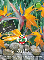 Sperli Strelitzie