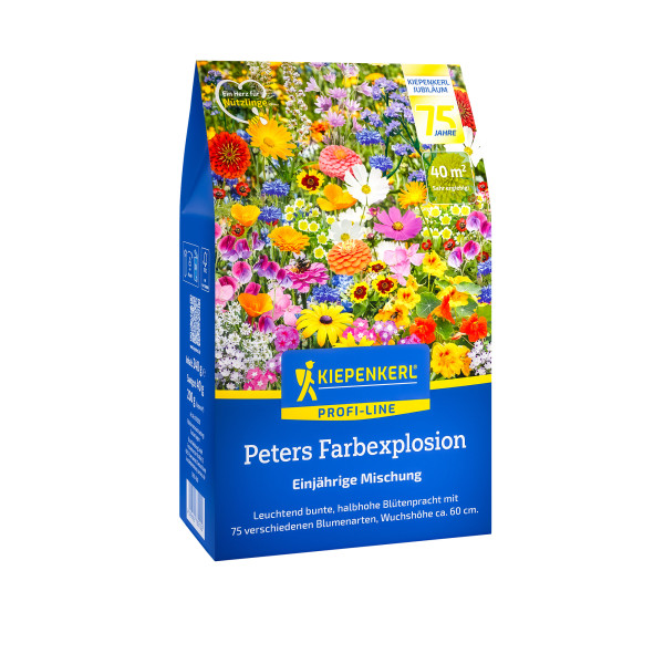 Kiepenkerl Peters Farbexplosion