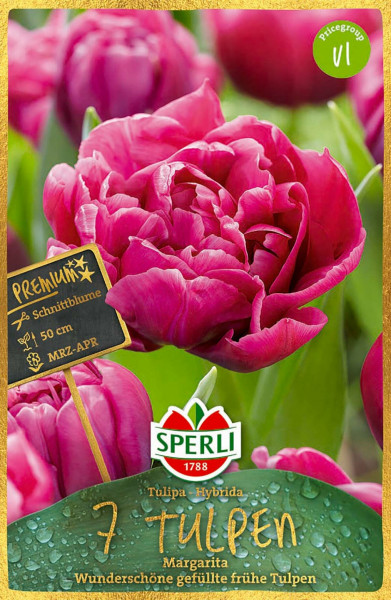 Produktbild von Sperli Premium Gefüllte Frühe Tulpe Margarita mit Nahaufnahme der blühenden pinken Tulpe und Verpackungsdesign mit Produktinformationen und Logo