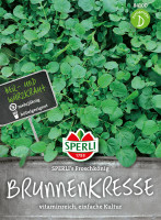 Sperli Brunnenkresse SPERLI's Froschkönig