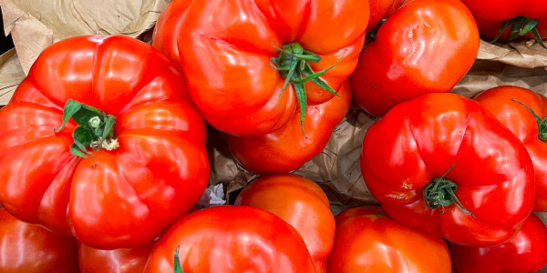 2400-tomato-green-branch-cherry-tomatoes-fruits-on-the-counter-of-the-market-store-healthy-meal-food-snack-copy-space-food-background-veggie-vegan