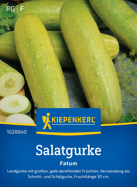 Kiepenkerl Salatgurke Fatum