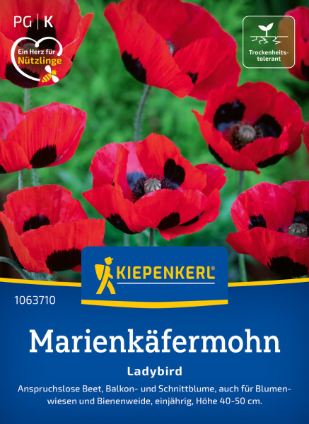 Kiepenkerl Marienkäfermohn Ladybird