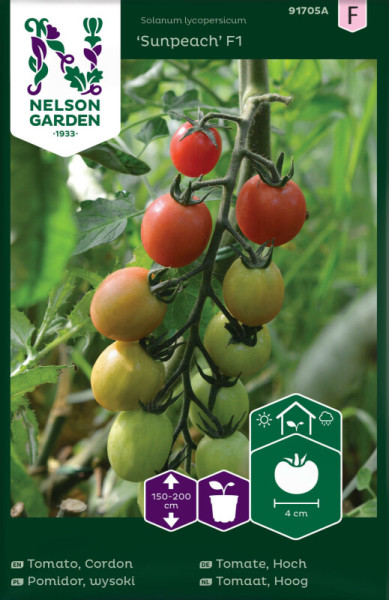 Produktbild von Nelson Garden Kirschtomate Sunpeach F1 zeigt reife und unreife Tomaten am Strauch mit Informationen zur Pflanzenart, Wuchshöhe und Fruchtgröße auf Deutsch und anderen Sprachen.
