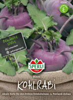 Sperli Kohlrabi Blaro
