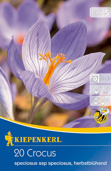 Produktbild von Kiepenkerl Pracht-Herbst-Krokus Verpackung mit 20 Crocus speciosus ssp speciosus Zwiebeln und Pflegehinweisen