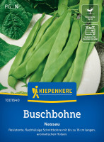 Kiepenkerl Buschbohne Nassau