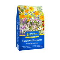 Kiepenkerl Blumenmischung Sommerblütenmeer