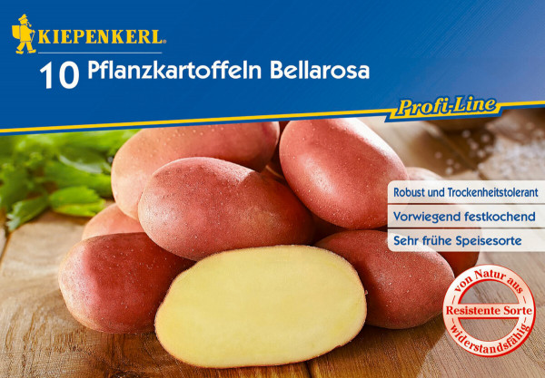 Produktbild von Kiepenkerl Pflanzkartoffel Bellarosa mit zehn roten Kartoffeln und einer aufgeschnittenen Kartoffel auf einer Holzoberfläche, begleitet von Attributen wie robust und trockenheitstolerant, vorwiegend festkochend und sehr frühe Speisesorte, 