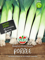 Sperli Porree Blaugrüner Winter/Farinto