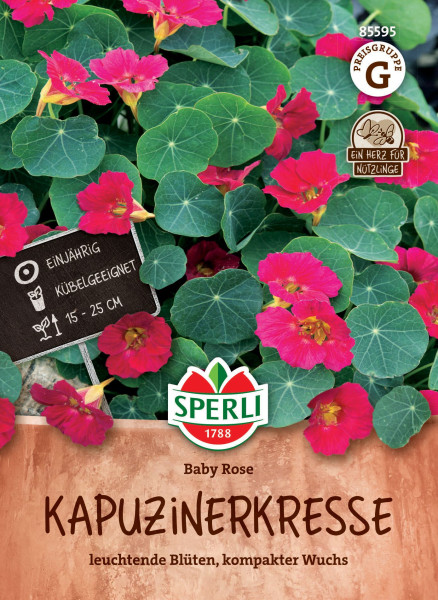 Sperli Kapuzinerkresse Baby Rose