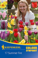 Kiepenkerl Colour Symphony Summer Fire