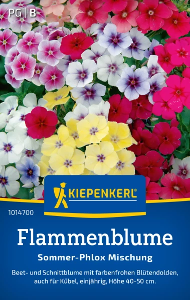 wie groß wird aloe vera Tipps zur Pflege deiner Pflanze : Aloe Vera – PflanzenFuerAlle main image 1