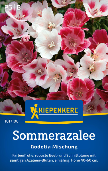 Kiepenkerl Sommerazalee Godetia Mischung