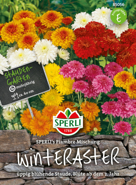 Produktbild der SPERLI Winteraster Fiambre Mischung mit bunten Blumen und Verpackungsinformationen wie mehrjährig und Blüte ab dem 2 Jahr.