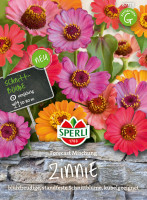 Sperli Zinnie Forecast Mischung