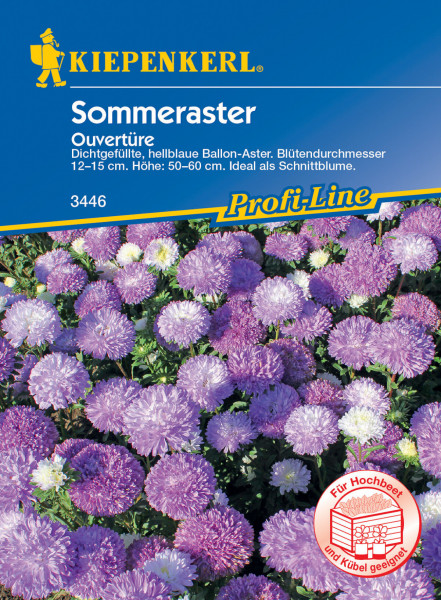 Produktbild von Kiepenkerl Sommeraster Ouvertüre mit Beschreibung der lila Blüten und Packungsinformationen auf Deutsch.