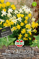 Sperli Maxi Narzisse Botanischer Mix