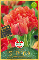 Sperli Premium Gefüllte Späte Tulpe Gudoshnik Double