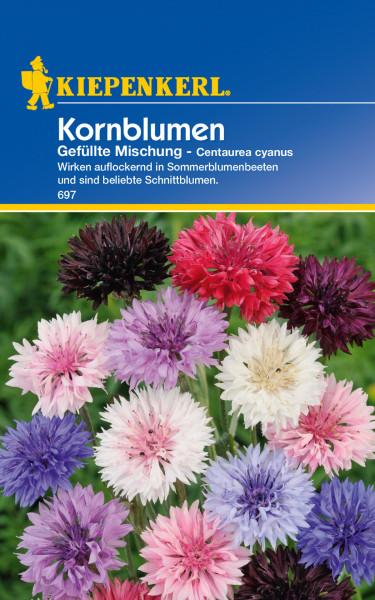 Produktbild von Kiepenkerl Kornblume Gefüllte Mischung mit blühenden Kornblumen in verschiedenen Farben und Produktinformationen auf Deutsch