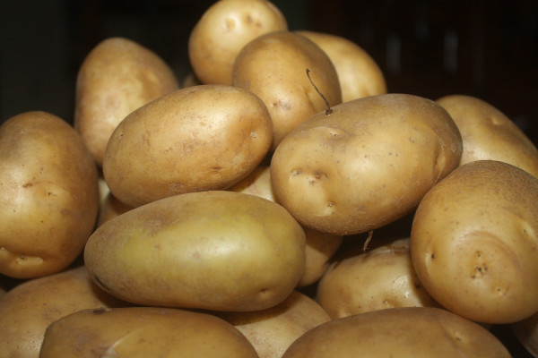 vegetable-5323268_1920
