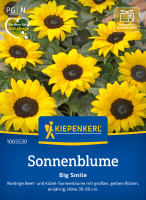 Kiepenkerl Sonnenblume Big Smile