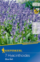 Kiepenkerl Profi-Line Hasenglöckchen Blue Bell