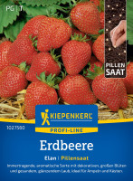 Kiepenkerl Erdbeere Elan F1 Pillensaat