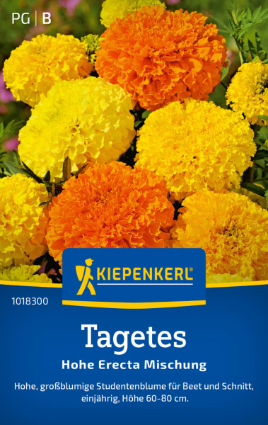 Kiepenkerl Tagetes Hohe Erecta Mischung