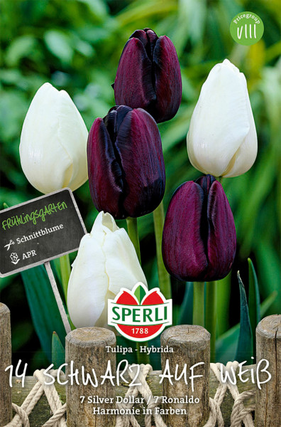 Produktbild von Sperli Frühlingsgarten Schwarz-Weiß Tulpenzwiebeln mit einer Mischung aus schwarzen und weißen Tulpen und Verpackungsinformationen in deutscher Sprache.