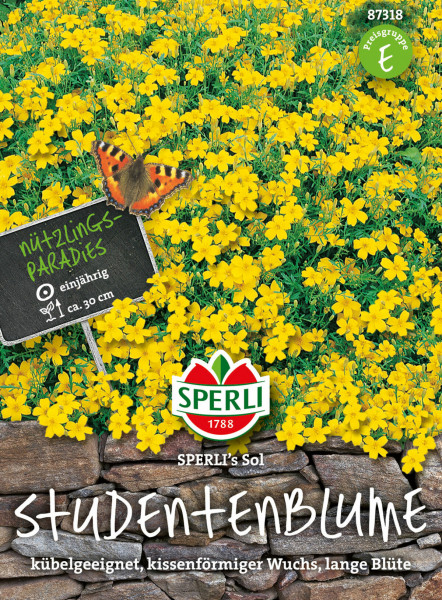 Produktbild von Sperli Studentenblume SPERLIs Sol mit gelben Blüten und Schmetterling darauf Hinweise zu Kübeleignung und Blütezeit auf Deutsch.
