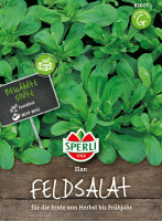 Sperli Feldsalat Elan