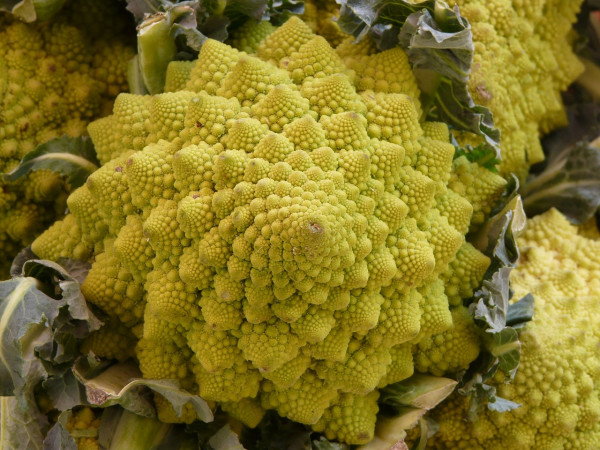 romanesco-6996_1280