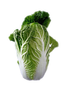 chinese-cabbage-74360_640