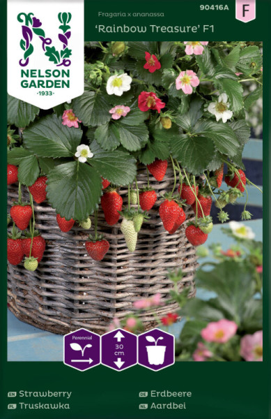 Produktbild von Nelson Garden Erdbeere Rainbow Treasure F1 in einem geflochtenen Korb mit reifen Früchten und Blüten sowie Informationen zu Pflanzenart und Wuchshöhe.