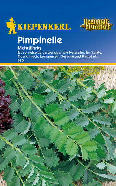 Produktbild von Kiepenkerl Pimpinelle mehrjährig mit der Darstellung der Pflanze und Verpackungsinformationen wie Verwendbarkeit in der Küche und der Artikelnummer 613 in deutscher Sprache.