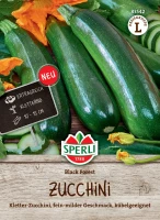 Sperli Zucchini Black Forest, F1